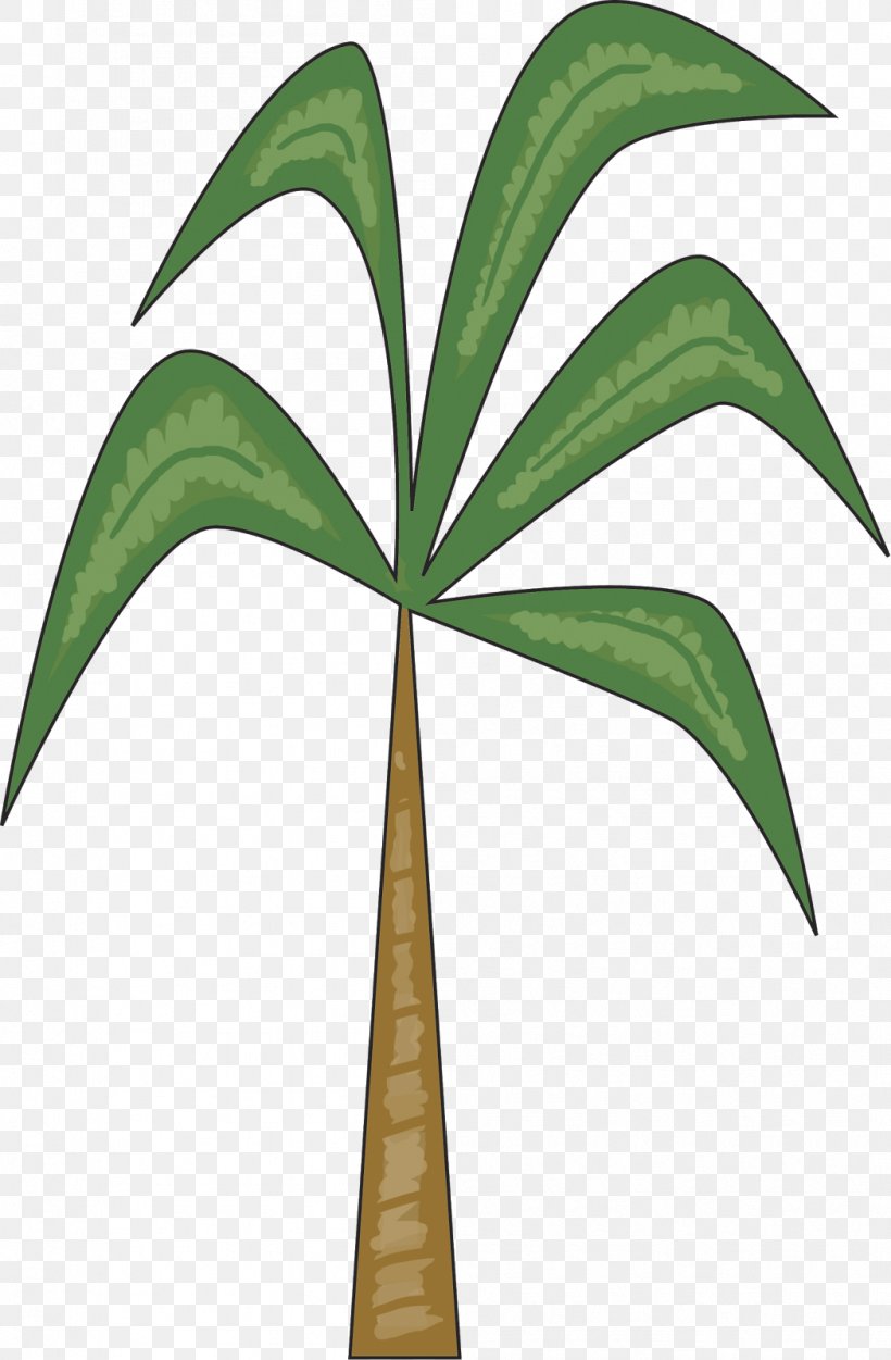 Arecaceae Leaf Plant Stem Tree, PNG, 1048x1600px, Arecaceae, Arecales, Leaf, Palm Tree, Plant Download Free