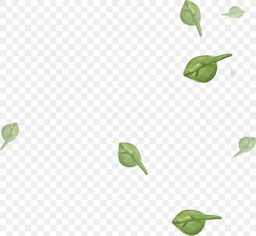 Leaf Green Color Clip Art, PNG, 1555x1433px, Leaf, Adobe Systems, Branch, Color, Computer Software Download Free