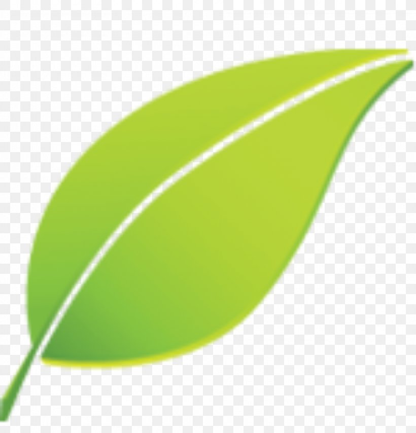 Leaf Plant, PNG, 1920x2000px, Leaf, Grass, Green, Plant Download Free