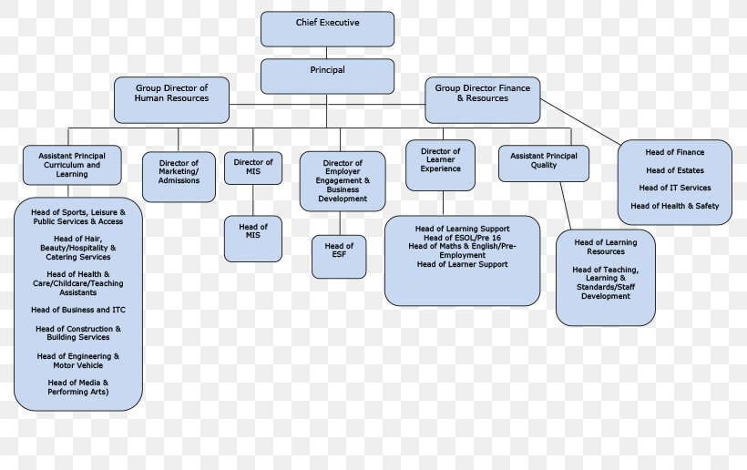Organizational Structure Diagram Organizational Chart College, PNG, 791x516px, Organization, Apprenticeship, Brand, Business Process, College Download Free