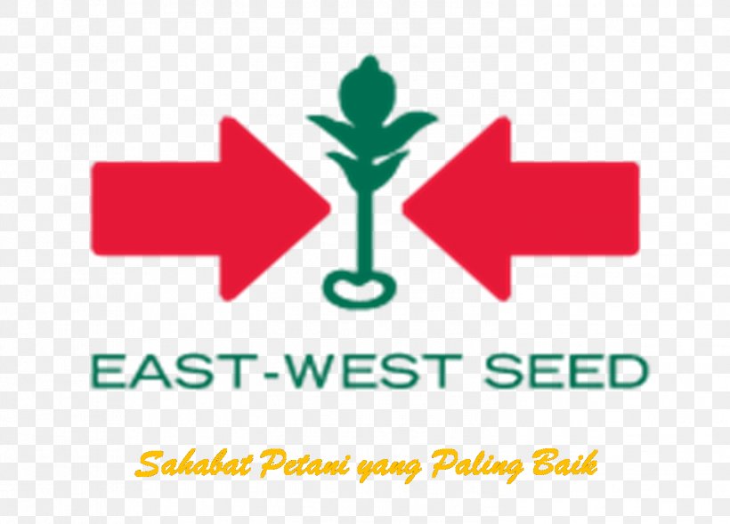 - East-West Seed East West Seeds India Private Limited Aurangabad East-West Seed Company, Inc., PNG, 1502x1080px, Aurangabad, Agriculture, Area, Brand, Business Download Free