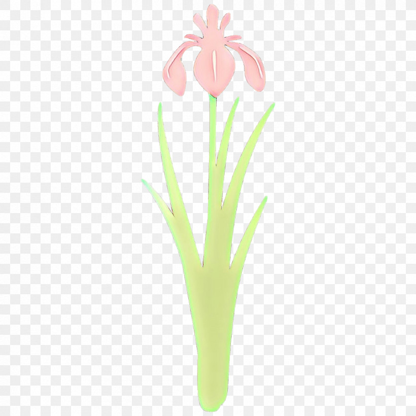 Flower Plant Grass Pedicel Cut Flowers, PNG, 1200x1200px, Flower, Cut Flowers, Grass, Iris, Pedicel Download Free