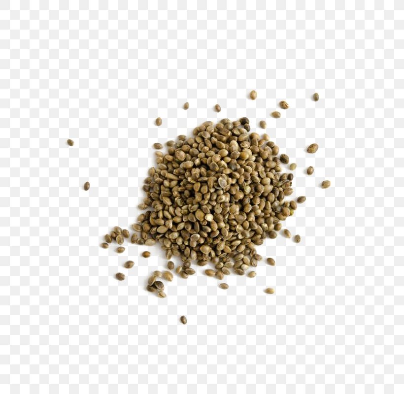 Cannabis Sativa Hemp Oil Seed, PNG, 800x800px, Cannabis, Cannabis Sativa, Cod Liver Oil, Commodity, Food Download Free
