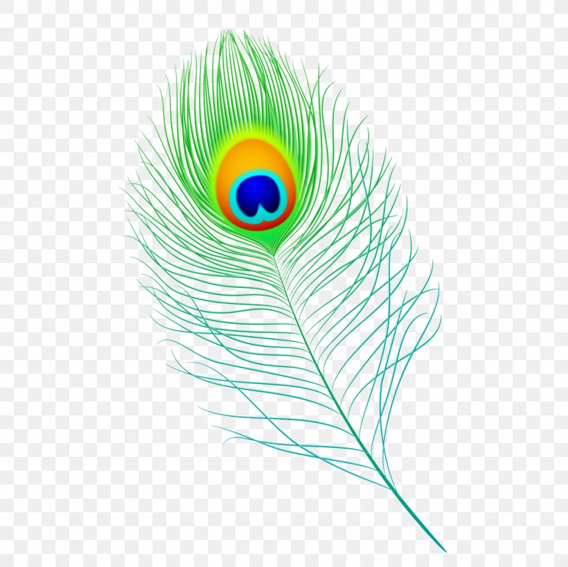 Feather Peafowl Clip Art, PNG, 1600x1600px, Feather, Beak, Bird, Can Stock Photo, Drawing Download Free