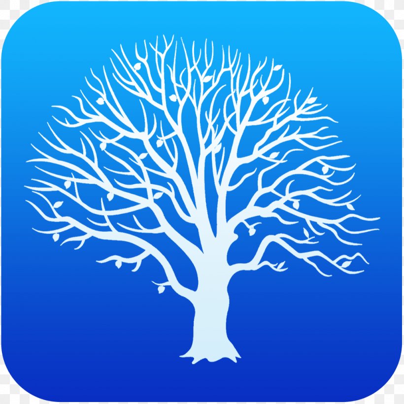 Ohio Genealogy MacFamilyTree Family Tree Family History Society, PNG, 1024x1024px, Ohio, Book, Branch, Electric Blue, Family Download Free