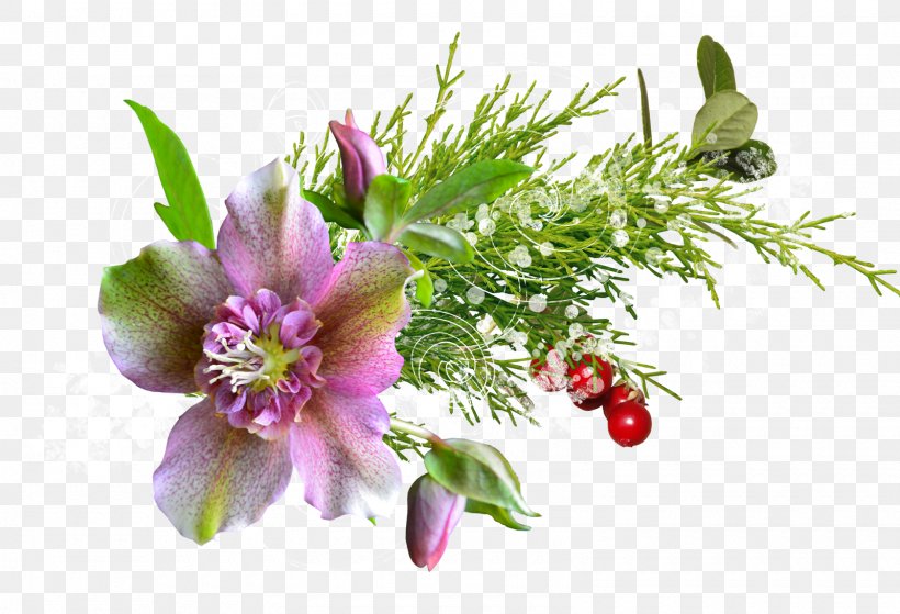 PhotoScape Flower Clip Art, PNG, 1600x1091px, Photoscape, Cut Flowers, Floral Design, Flower, Flower Arranging Download Free