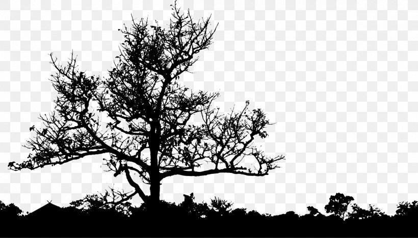 T-shirt Tree, PNG, 2400x1372px, Tshirt, Black And White, Branch, Color, Landscape Download Free