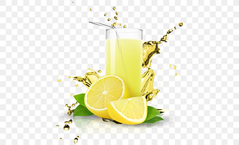 Cranberry Juice Lemonade Fizzy Drinks Gyro, PNG, 500x500px, Juice, Citric Acid, Cocktail Garnish, Concentrate, Cranberry Juice Download Free