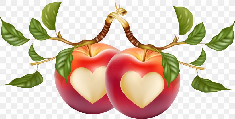 Heart-shaped Apple Vector, PNG, 7389x3756px, Against His Will, Apple, Diet Food, Food, Fruit Download Free