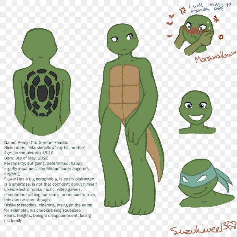 Leonardo Karai Venus Teenage Mutant Ninja Turtles: Fall Of The Foot Clan Teenage Mutant Ninja Turtles: Turtles In Time, PNG, 894x894px, Leonardo, Child, Fictional Character, Grass, Green Download Free