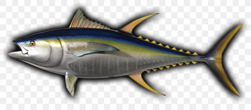 Thunnus Mackerel Yellowfin Tuna Angling Fishing, PNG, 1100x484px, Thunnus, Angling, Bonito, Bony Fish, Fauna Download Free
