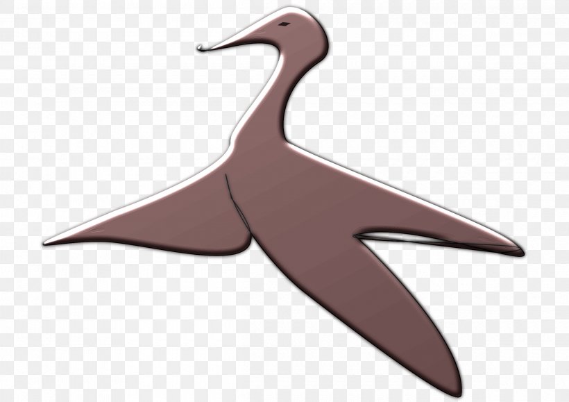 Water Bird Flight Beak, PNG, 2400x1697px, Bird, Animal, Beak, Flight, Light Download Free