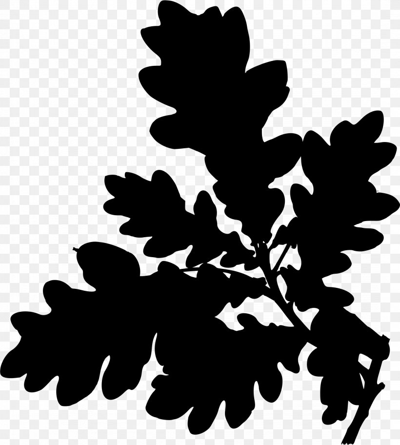 English Oak Tree Clip Art, PNG, 2157x2400px, English Oak, Acorn, Black And White, Branch, Flower Download Free