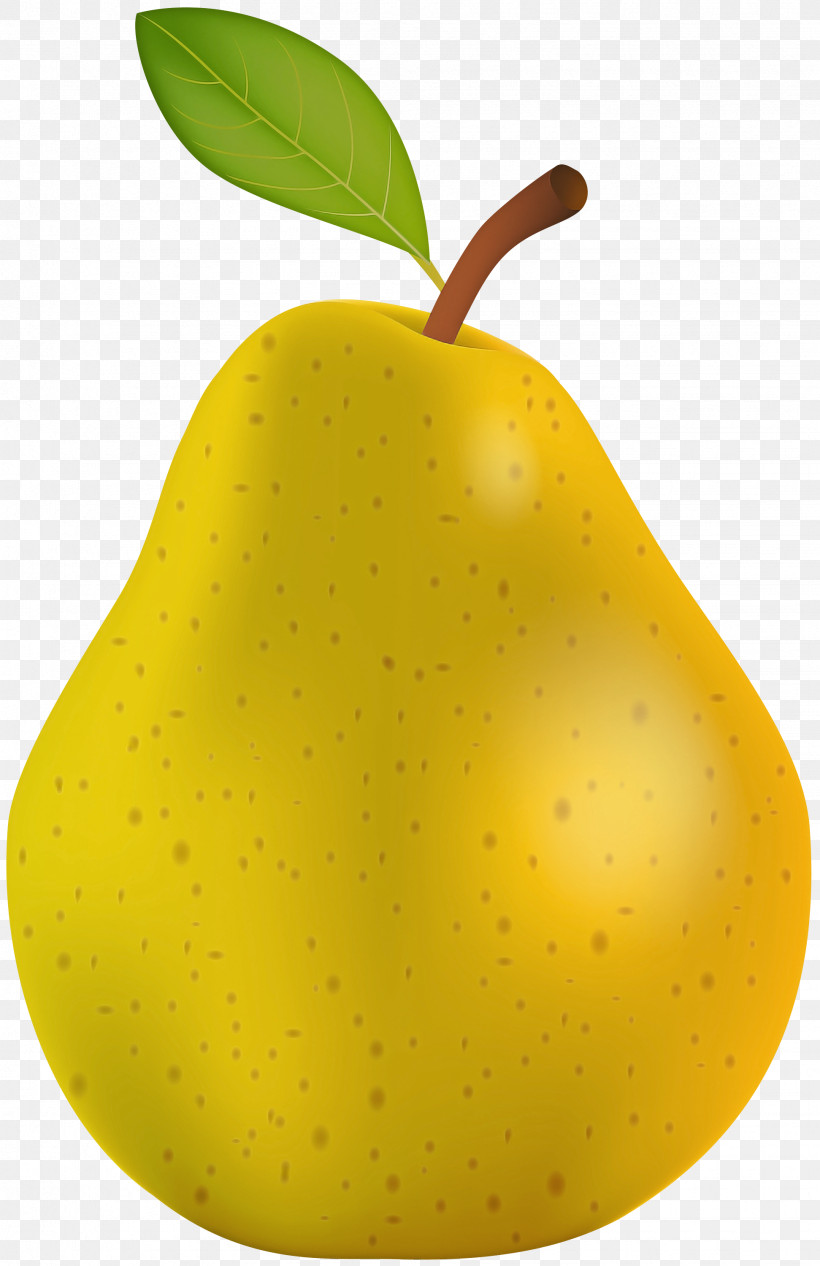 Fruit Tree, PNG, 1943x3000px, Pear, Accessory Fruit, Asian Pear, Food, Fruit Download Free