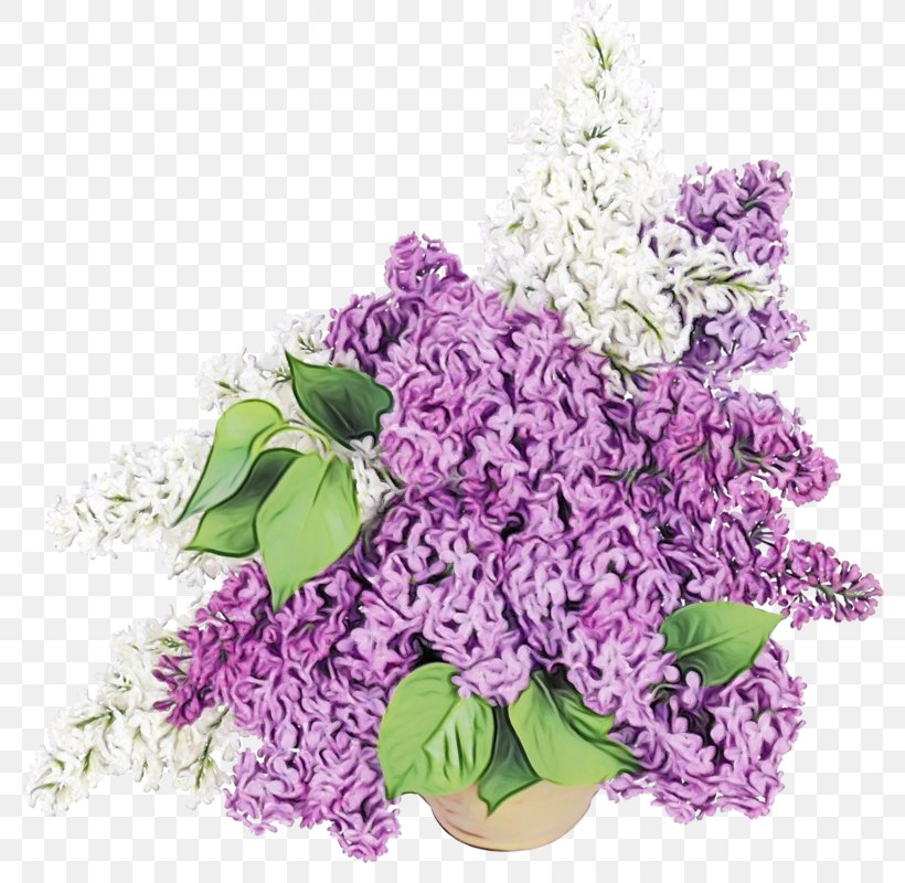 Lavender, PNG, 783x800px, Watercolor, Cut Flowers, Flower, Flowering Plant, Lavender Download Free