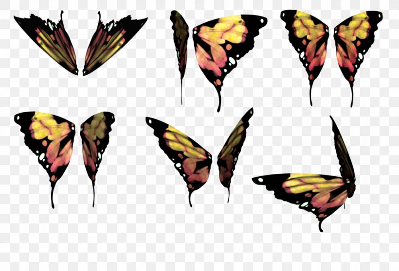 Nymphalidae Butterfly Moth Insect Drawing, PNG, 1024x698px, Nymphalidae, Art, Arthropod, Brush Footed Butterfly, Butterfly Download Free