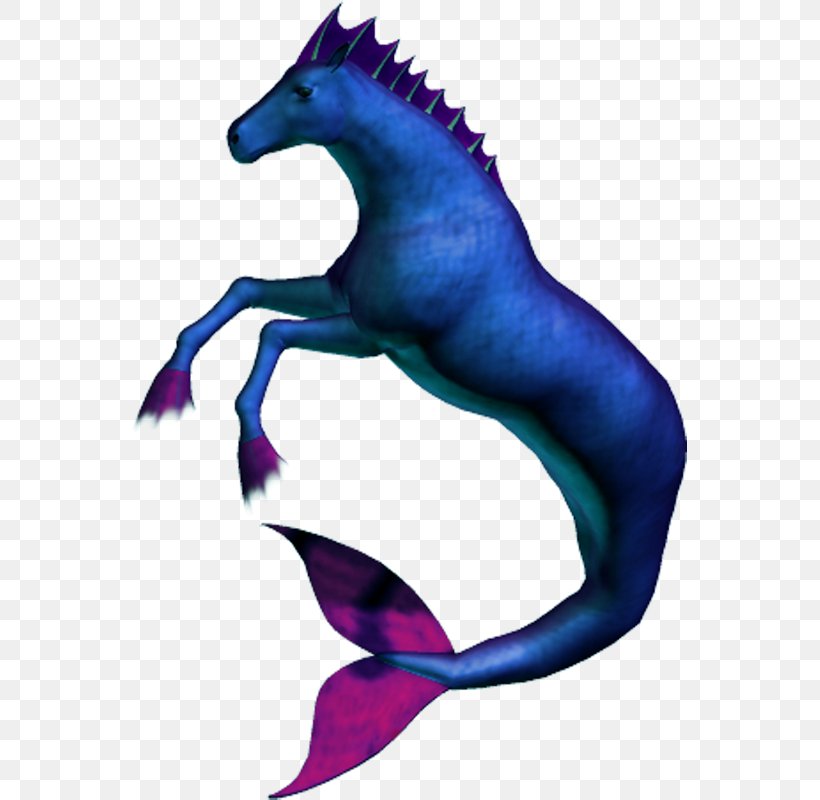 Seahorse Clip Art Illustration Marine Mammal, PNG, 555x800px, Seahorse, Art, Electric Blue, Fictional Character, Fish Download Free