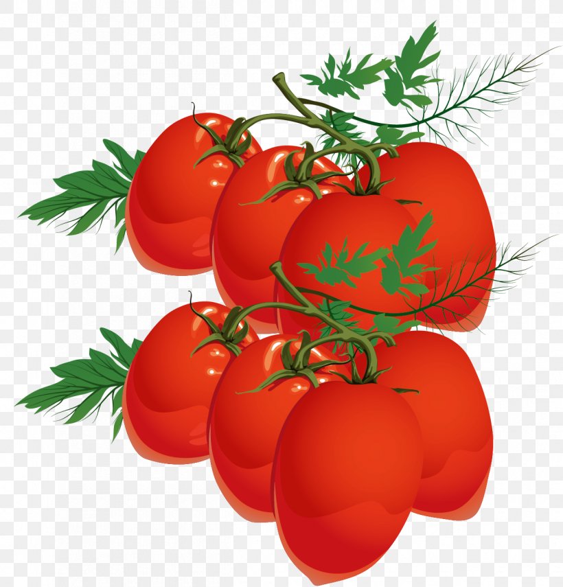 Tomato Juice Plum Tomato Cherry Tomato Bush Tomato, PNG, 1250x1304px, Tomato Juice, Apple, Auglis, Bush Tomato, Cherry Tomato Download Free