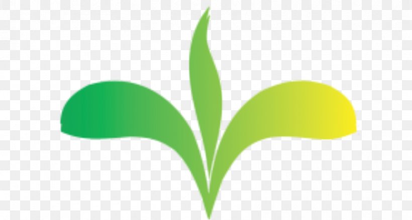 Logo Leaf Font Green Product, PNG, 844x452px, Logo, Botany, Computer, Flower, Grass Download Free