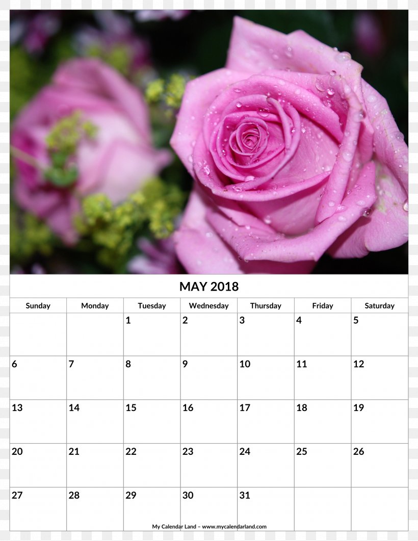 Rose Family Pruning Bud, PNG, 2550x3300px, Rose, Blume, Branch, Bud, Calendar Download Free