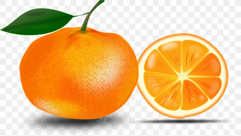 Shareware Treasure Chest: Clip Art Collection Vector Graphics Openclipart Orange, PNG, 960x542px, Orange, Accessory Fruit, Bitter Orange, Calamondin, Citric Acid Download Free