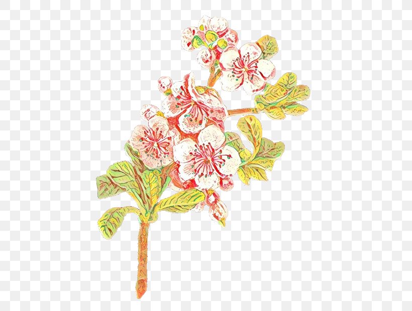 Clip Art Blossom Image, PNG, 492x620px, Blossom, Apple, Art, Botany, Cartoon Download Free