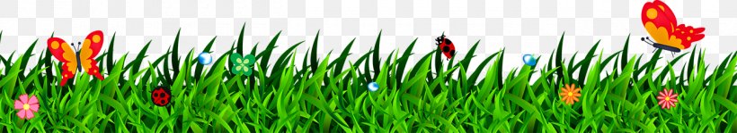 Grass Lawn, PNG, 1300x237px, Grass, Free Software, Grass Family, Gratis, Green Download Free