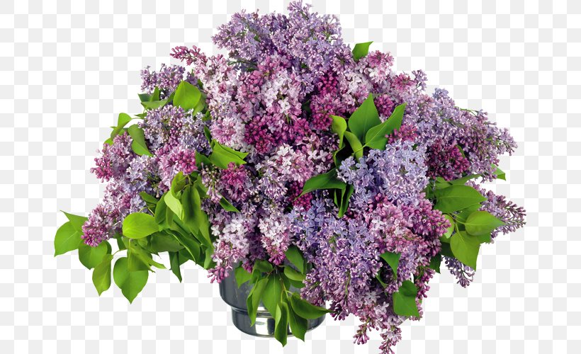 Flower Bouquet Lilac Desktop Wallpaper Wallpaper, PNG, 667x500px, Flower, Common Lilac, Cut Flowers, Flower Bouquet, Flower Garden Download Free