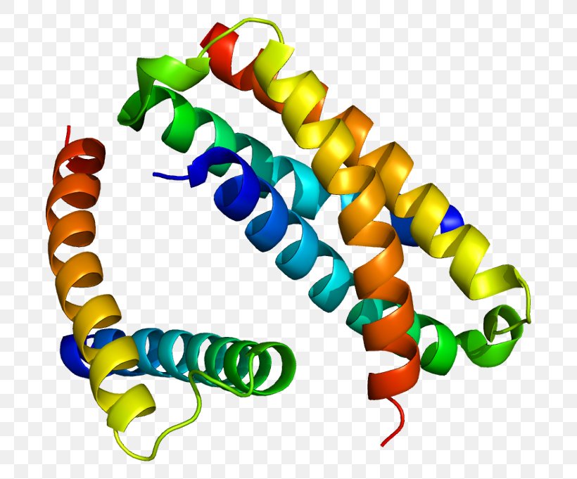 SH2B2 SH2 Domain Protein Janus Kinase 2 SH2B1, PNG, 740x681px, Watercolor, Cartoon, Flower, Frame, Heart Download Free