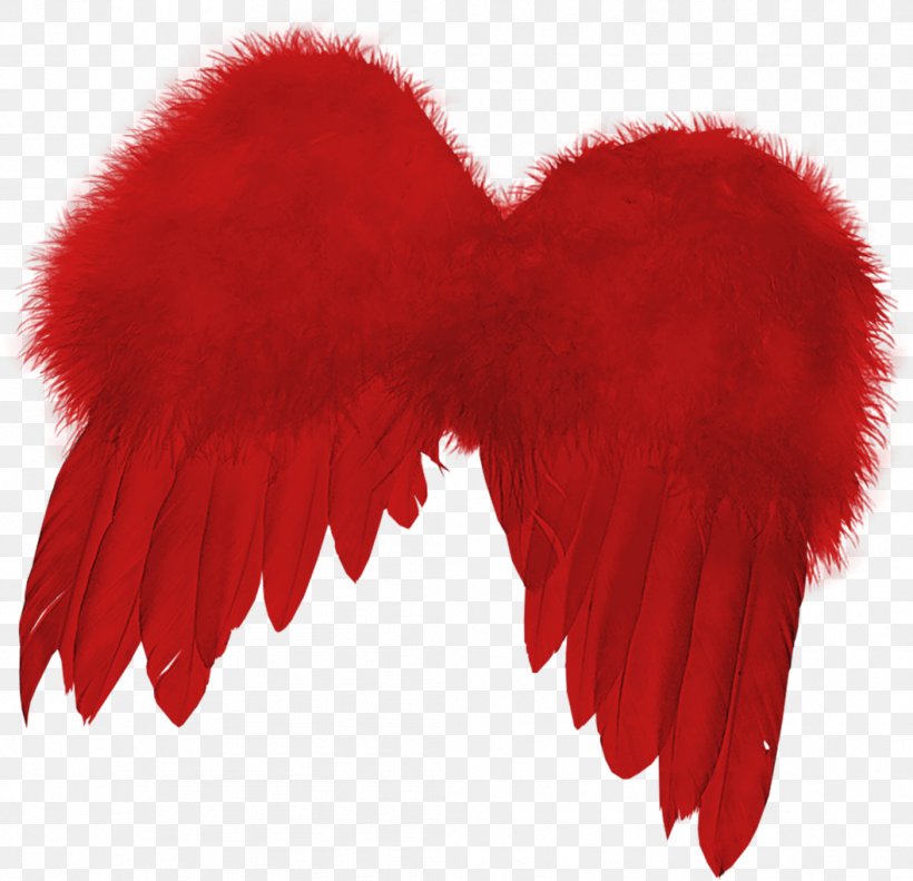 Feather, PNG, 1057x1020px, Feather, Fur, Heart, Lossless Compression, Mime Download Free