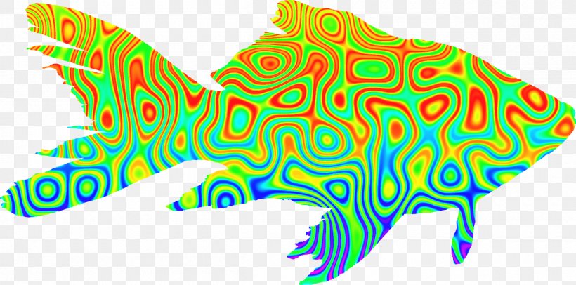 Goldfish Psychedelia Clip Art, PNG, 2400x1191px, Goldfish, Area, Art, Drawing, Fish Download Free