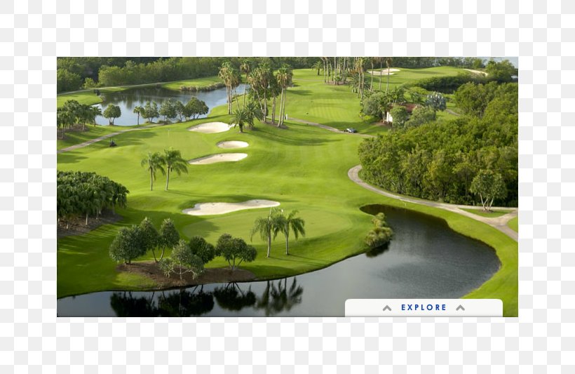 Golf Course Golf Clubs Water Resources Pond, PNG, 800x533px, Golf Course, Golf, Golf Club, Golf Clubs, Grass Download Free