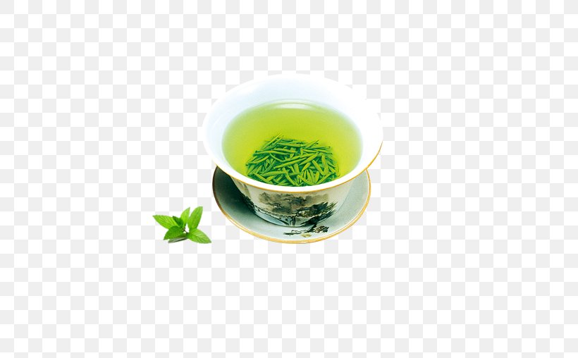 Green Tea Gyokuro Mate Cocido Bancha, PNG, 512x508px, Tea, Assam Tea, Bancha, Biluochun, Camellia Sinensis Download Free