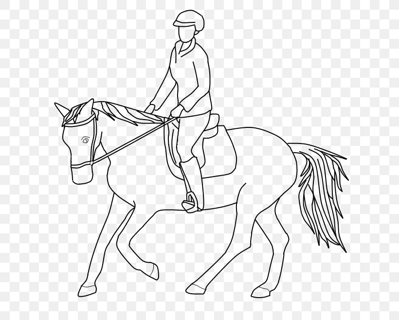 Mustang Pony Mane Line Art Equestrian, PNG, 716x658px, Mustang, Arm, Artwork, Black And White, Bridle Download Free