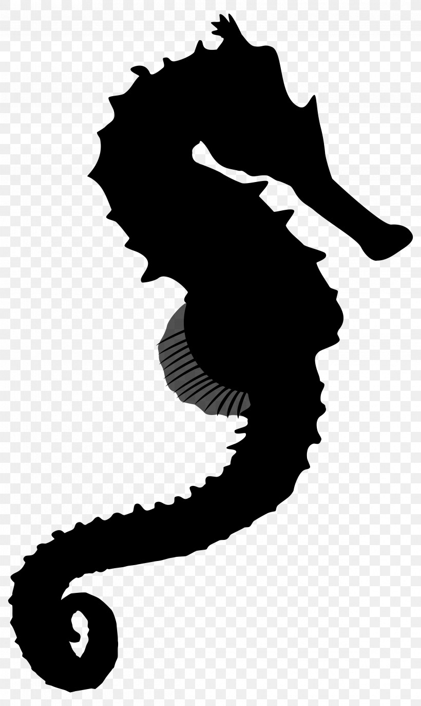 Seahorse Fish Black-and-white Silhouette, PNG, 4775x8000px, Seahorse, Blackandwhite, Fish, Silhouette Download Free