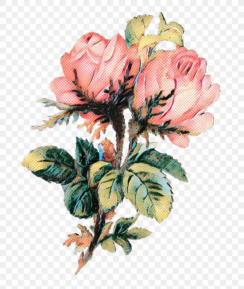 Garden Roses Cabbage Rose Cut Flowers Floral Design, PNG, 1266x1500px, Garden Roses, Artificial Flower, Botany, Bouquet, Cabbage Rose Download Free