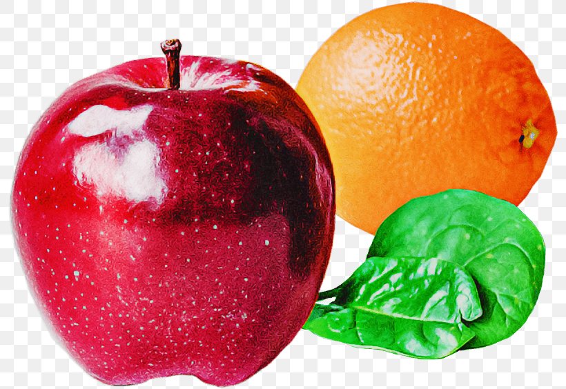 Orange, PNG, 800x564px, Natural Foods, Accessory Fruit, Apple, Food, Fruit Download Free