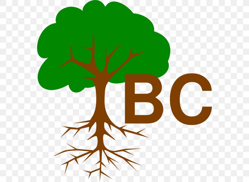 Root Tree Oak Branch Clip Art, PNG, 576x599px, Root, Arecaceae, Artwork, Bonsai, Branch Download Free