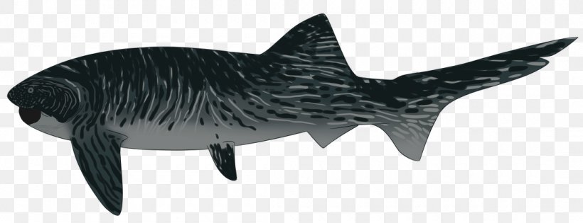 Tiger Shark Requiem Sharks Wildlife, PNG, 1100x423px, Tiger Shark, Animal, Animal Figure, Black And White, Cartilaginous Fish Download Free