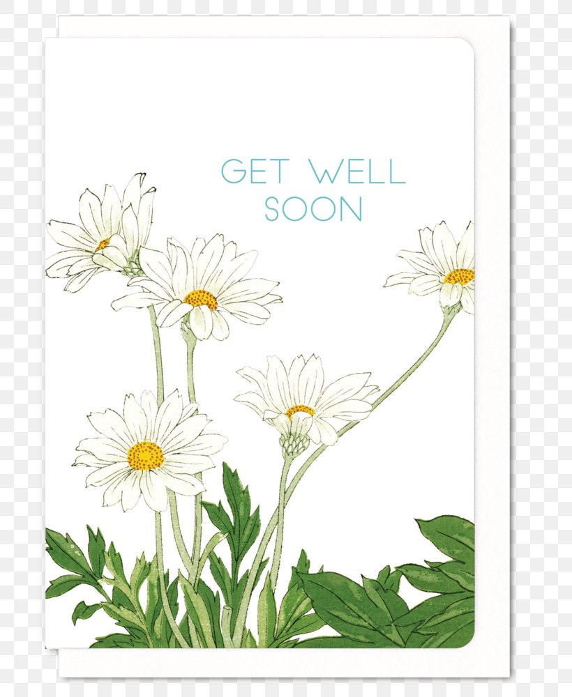 Common Daisy Paper Art Floral Design Flower, PNG, 749x1000px, Common Daisy, Art, Asian Bleedingheart, Chamaemelum Nobile, Chrysanths Download Free