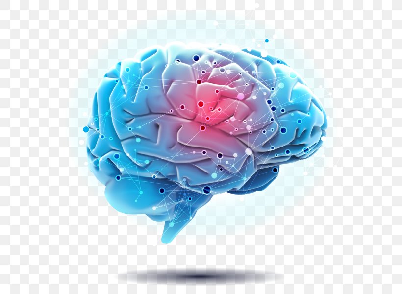 Engaging The Rewired Brain Autonomic Nervous System Psychology, PNG, 600x600px, Brain, Amazoncom, Aqua, Autonomic Nervous System, Blue Download Free