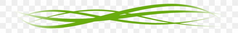 Leaf Logo Font Desktop Wallpaper Plant Stem, PNG, 2222x313px, Leaf, Close Up, Computer, Grass, Green Download Free
