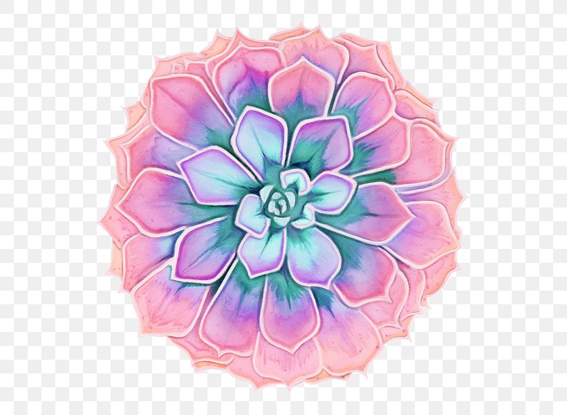Pink Flower Cartoon, PNG, 600x600px, Cabbage Rose, Cut Flowers, Dahlia, Floral Design, Flower Download Free