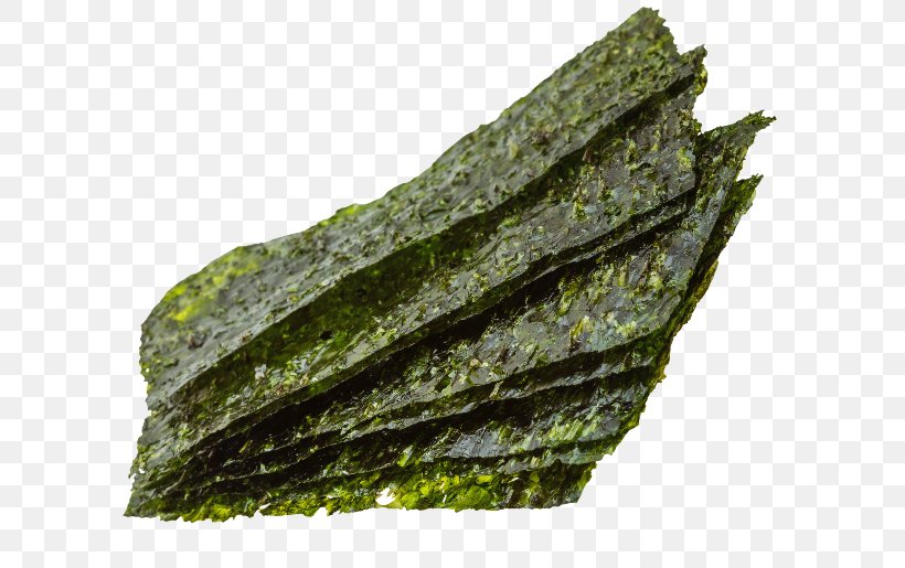Algae Nori Seagrass Spinach Food, PNG, 628x515px, Algae, B Vitamins, Bluegreen Bacteria, Eating, Food Download Free