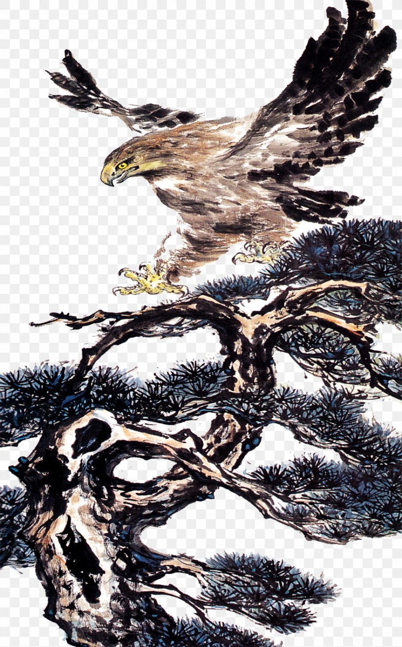 Bald Eagle Hawk Illustration, PNG, 879x1417px, Bald Eagle, Accipitriformes, Art, Beak, Bird Download Free