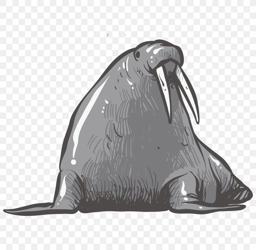 Earless Seal Walrus Reindeer Drawing, PNG, 800x800px, Earless Seal, Animal, Bear, Black And White, Cartoon Download Free