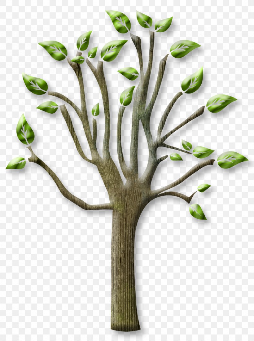 Tree Branch, PNG, 1191x1600px, Tree, Branch, Concepteur, Designer, Flowerpot Download Free
