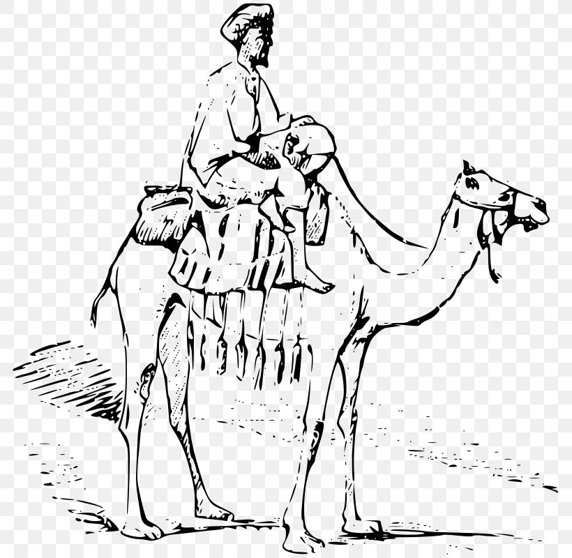 Bactrian Camel Dromedary Drawing Clip Art, PNG, 790x800px, Bactrian Camel, Animal, Animation, Arabian Camel, Art Download Free