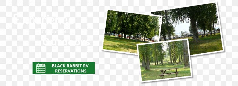 Black Rabbit RV Park & Storage Caravan Park Campsite Campervans Camping, PNG, 1001x363px, Caravan Park, Accommodation, Advertising, Brand, Campervans Download Free