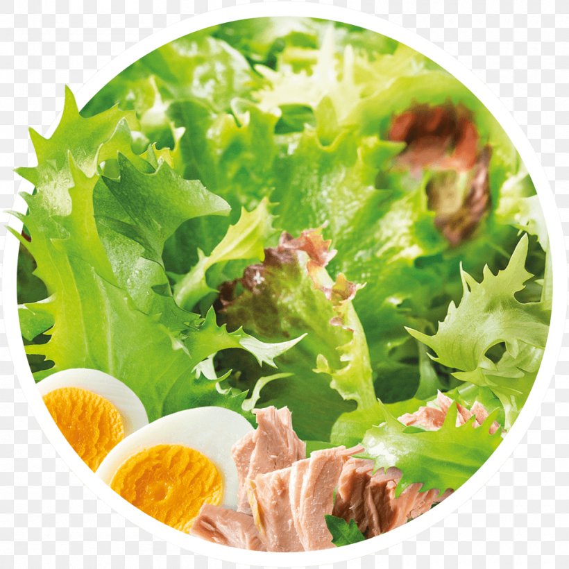 Caesar Salad Vegetarian Cuisine Romaine Lettuce Crudités Vinaigrette, PNG, 1000x1000px, Caesar Salad, Cheese, Dish, Egg, Food Download Free